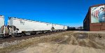 UP 103617 is new to rrpa.